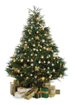 Tall Christmas Trees<Christmas Tree World The 10Ft Majestic Dew Pine Tree